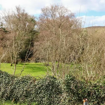 Shoemaker's Rest Ardgroom