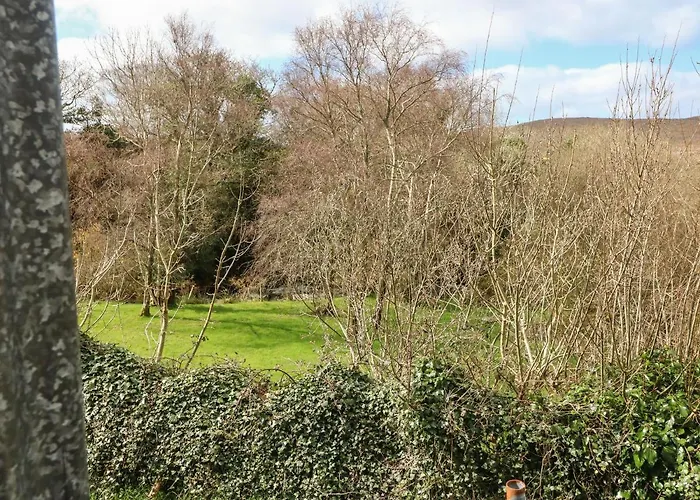 Shoemaker's Rest Ardgroom